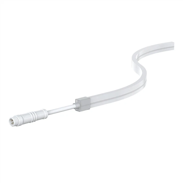 Outdoor LED Light Decoration