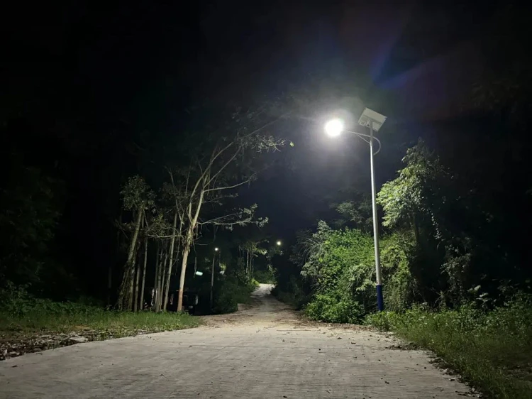 solar street light 100W solar street light 100W